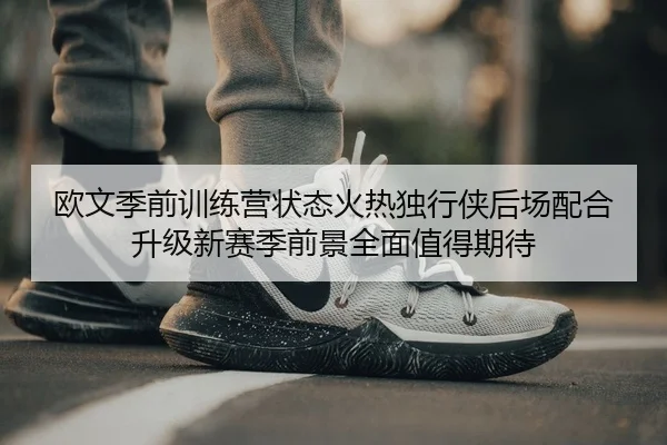 欧文季前训练营状态火热独行侠后场配合升级新赛季前景全面值得期待